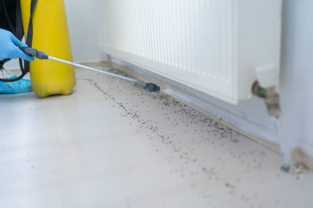Best Commercial Pest Control Services  in Jermyn, PA