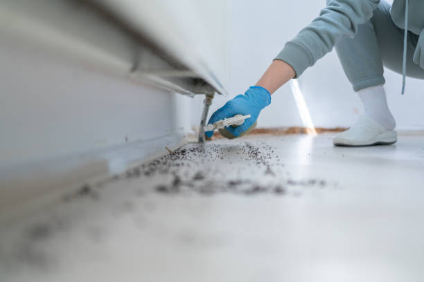 Best Affordable Pest Control Services  in Jermyn, PA